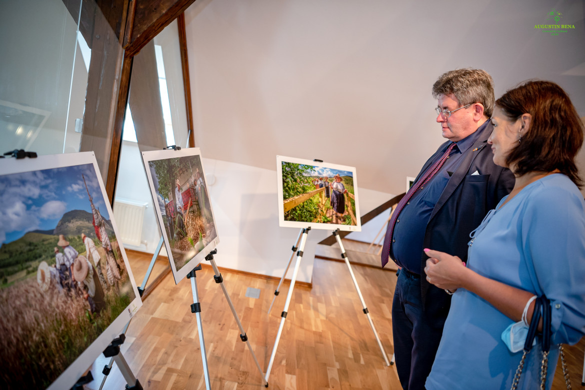 Colaborare culturală între județul Alba și Districtul Prignitz din Germania