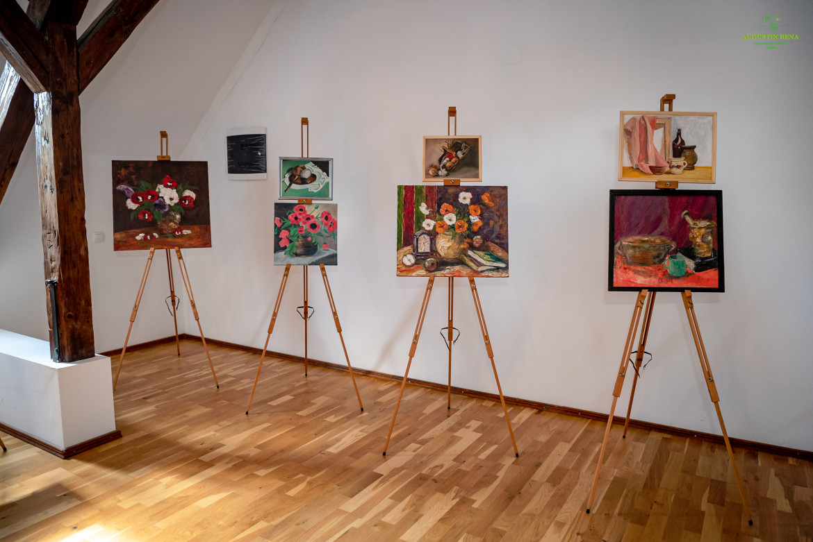 Colaborare culturală între județul Alba și Districtul Prignitz din Germania